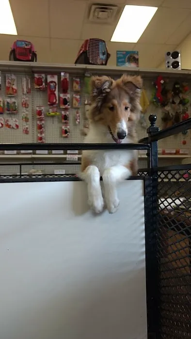 Tropic Pet Center Inc Picture 4