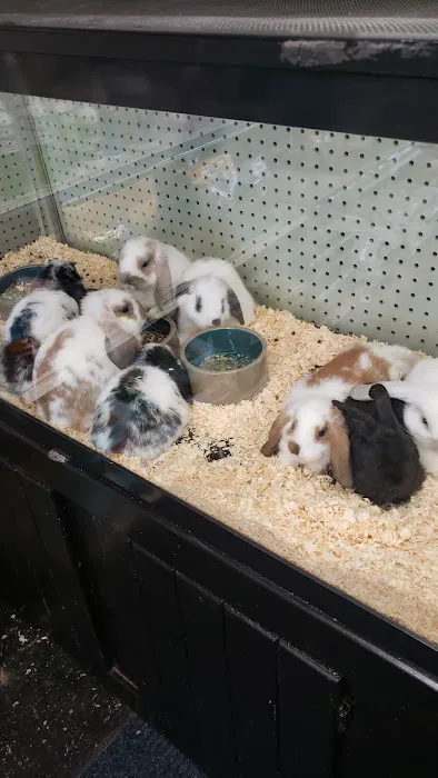 Tropic Pet Center Inc Picture 6
