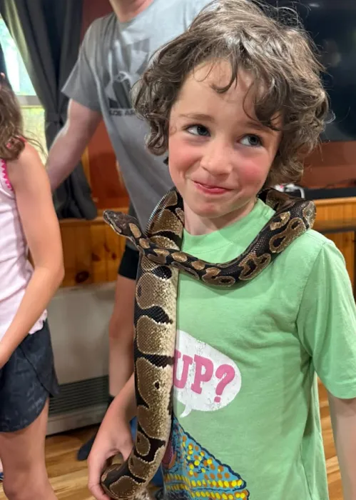 CDE Exotics and CDE Rescue Picture 10