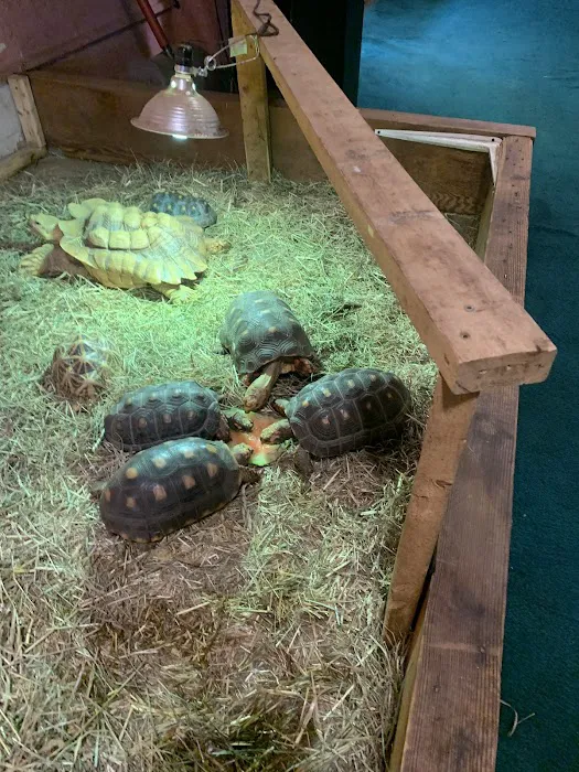 CDE Exotics and CDE Rescue Picture 1