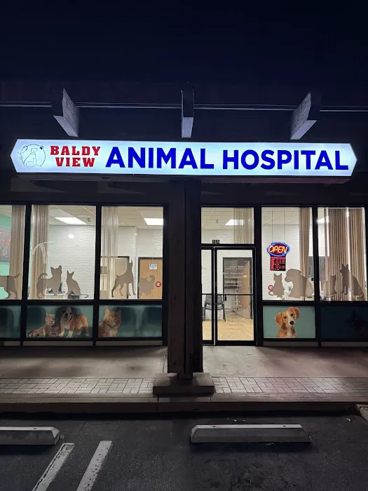 Baldy View Animal Hospital Picture 5