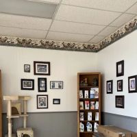 Baldy View Animal Hospital ico