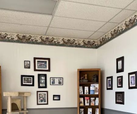 Baldy View Animal Hospital