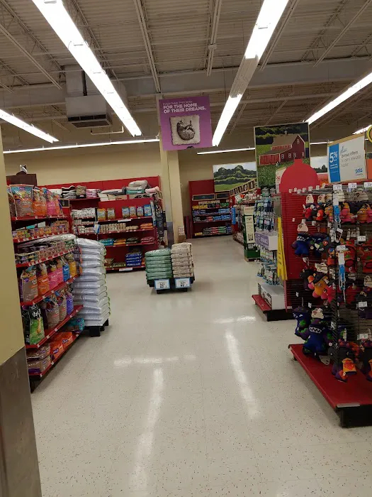 Petco Picture 7