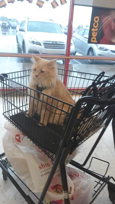 Petco Picture 2