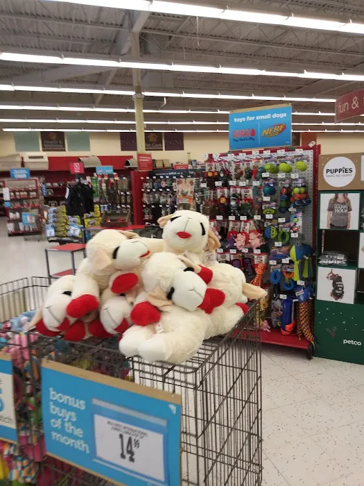 Petco Picture 8