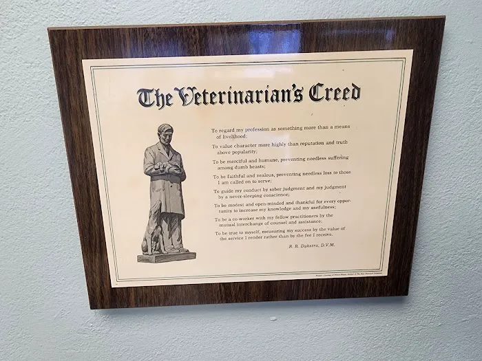 City Pet Hospital Picture 3