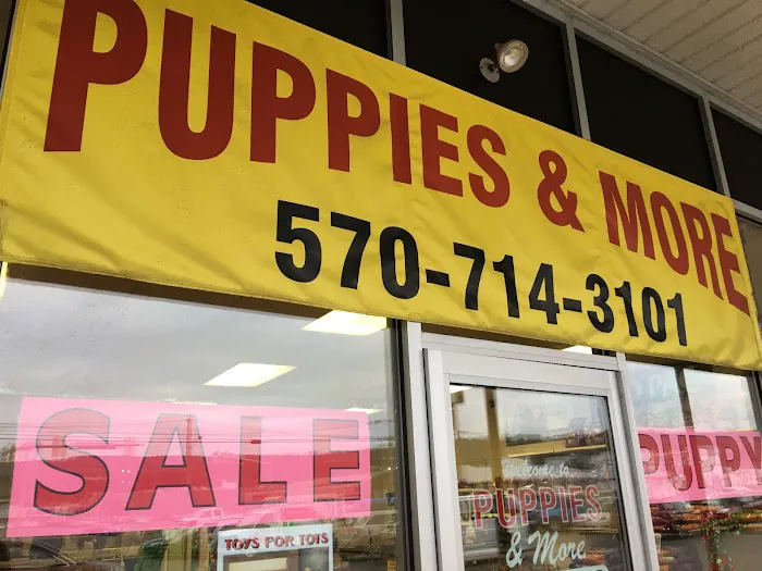 Puppies & More Picture 6