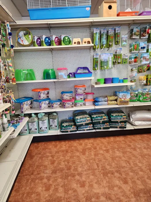 Puppies & More Picture 2