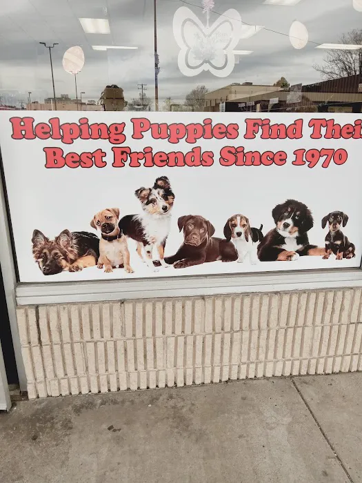 Puppies & More Picture 7