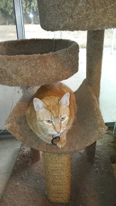 Chino Veterinary Hospital Picture 7