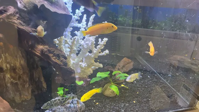 Petco Picture 8