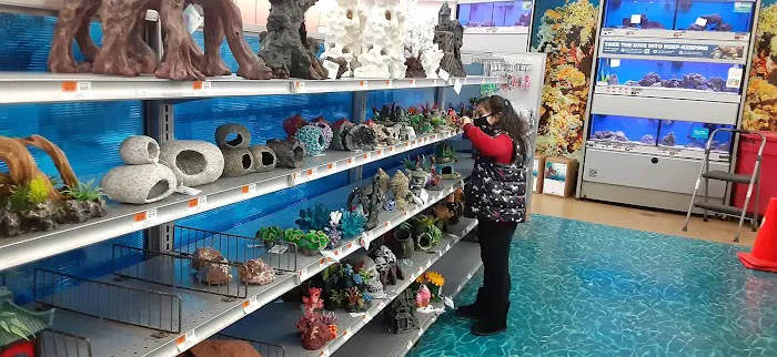 Petco Picture 1