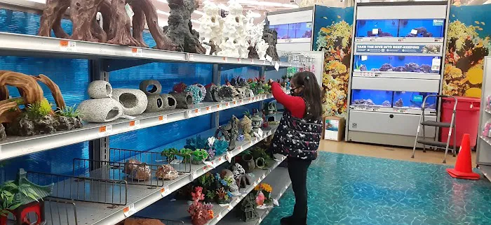 Petco Picture 7