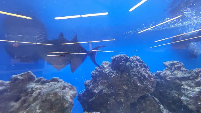 Petco Picture 3