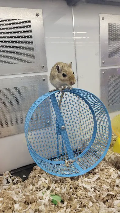Petco Picture 4