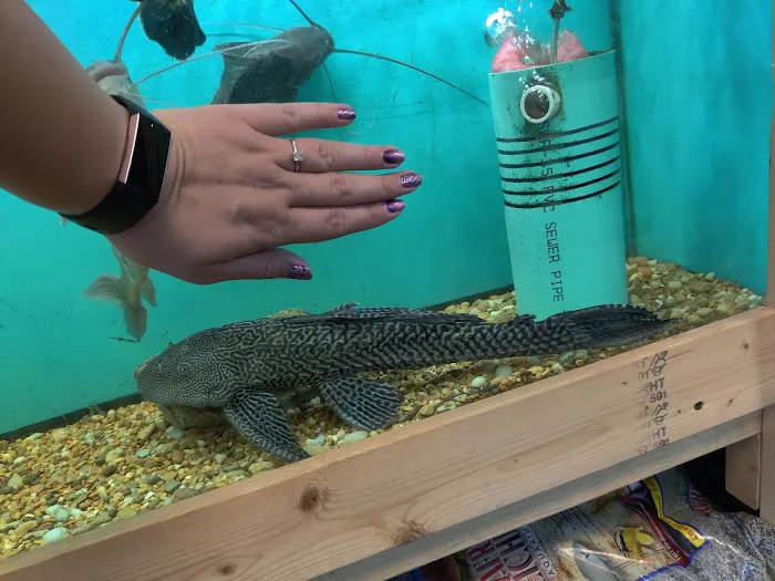 The Waters Edge Aquarium Picture 9