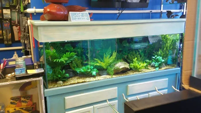 The Waters Edge Aquarium Picture 7