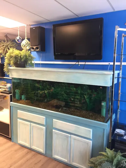 The Waters Edge Aquarium Picture 10