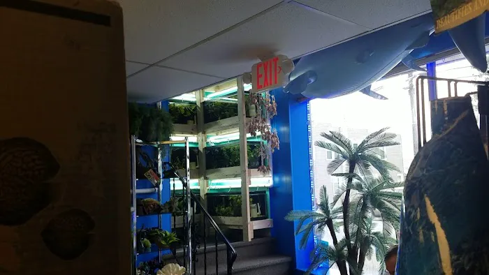 The Waters Edge Aquarium Picture 8