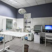 Ontario animal clinic ico