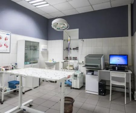 Ontario animal clinic