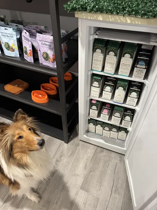 Rough Collie Co. Picture 4
