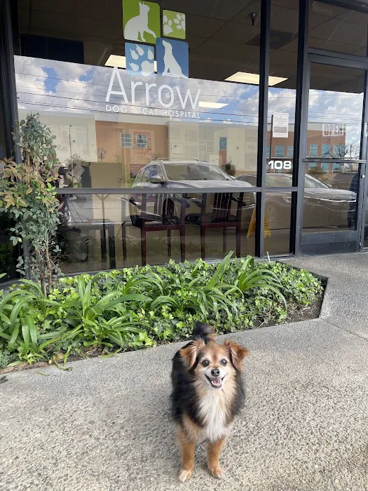Arrow Dog And Cat Hospital Picture 2