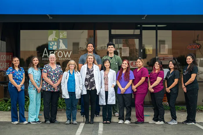 Arrow Dog And Cat Hospital Picture 3
