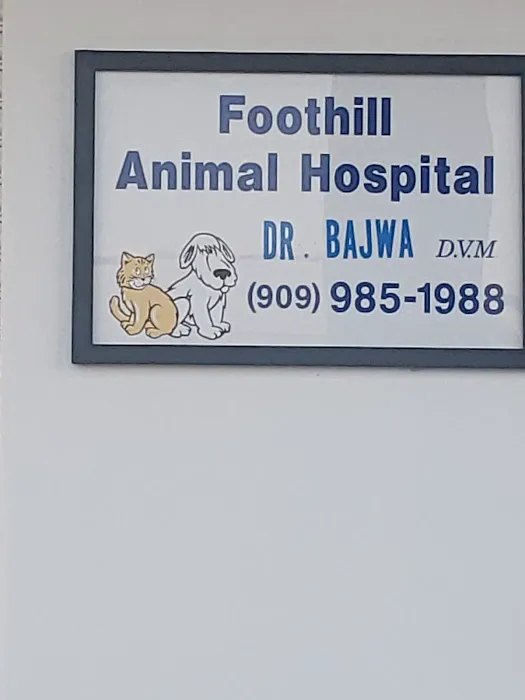 Veterinarian Picture 1