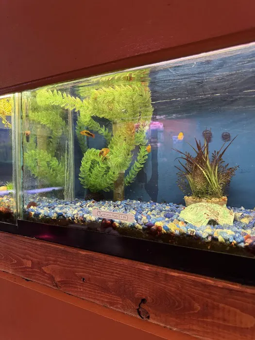 One Fish Two Fish Picture 8