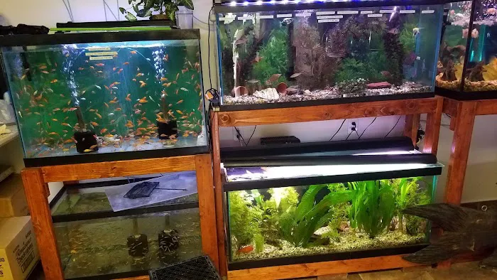 One Fish Two Fish Picture 5
