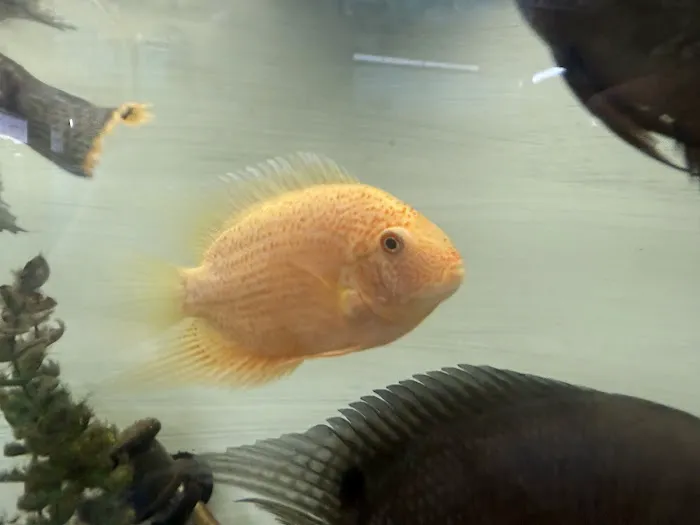 Elite Menagerie Habitats Picture 5