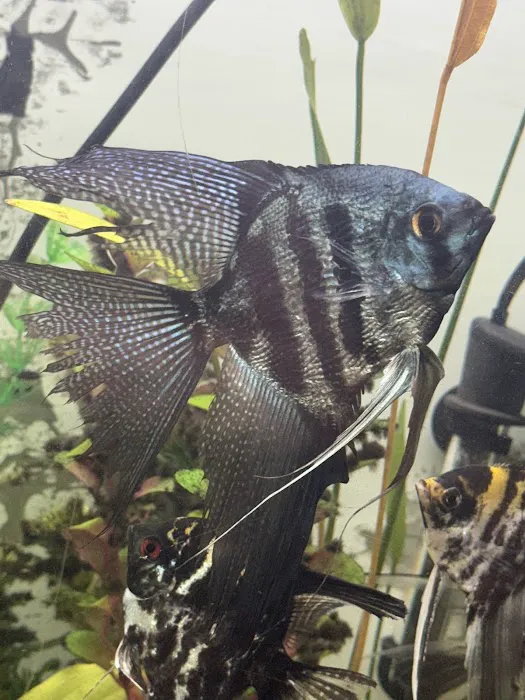 Elite Menagerie Habitats Picture 1