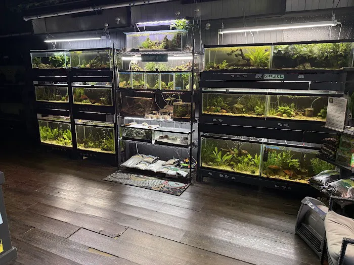 Elite Menagerie Habitats Picture 7
