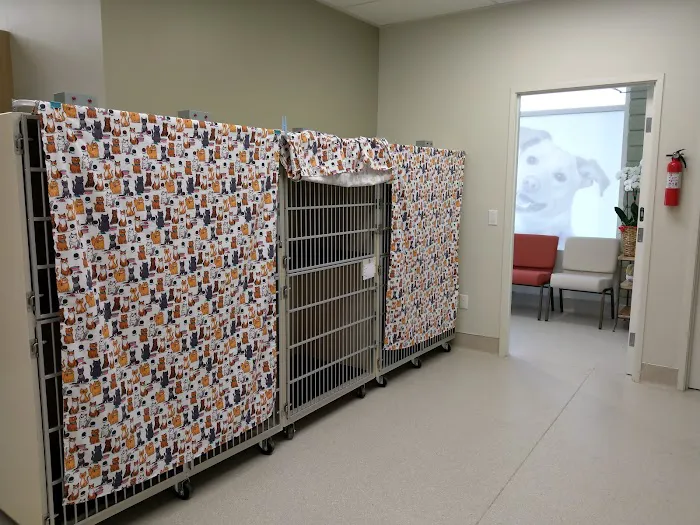 Glendora Pet Care Center Picture 6