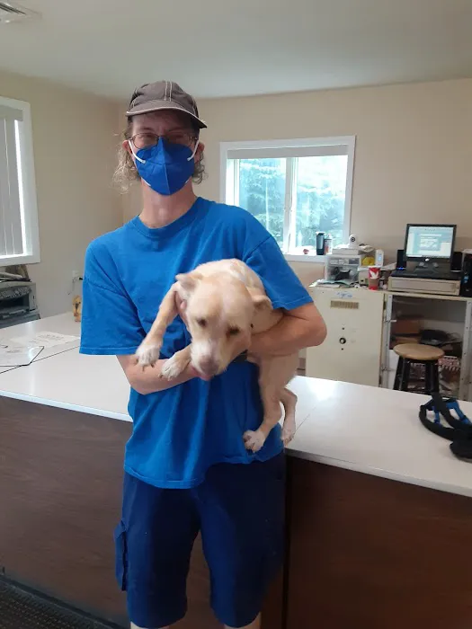 Pocono Creek Pet Center Picture 6