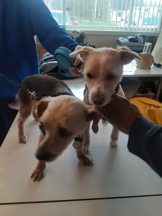 Pocono Creek Pet Center Picture 4