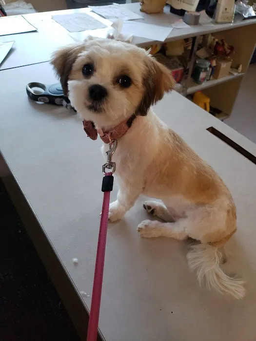 Pocono Creek Pet Center Picture 8
