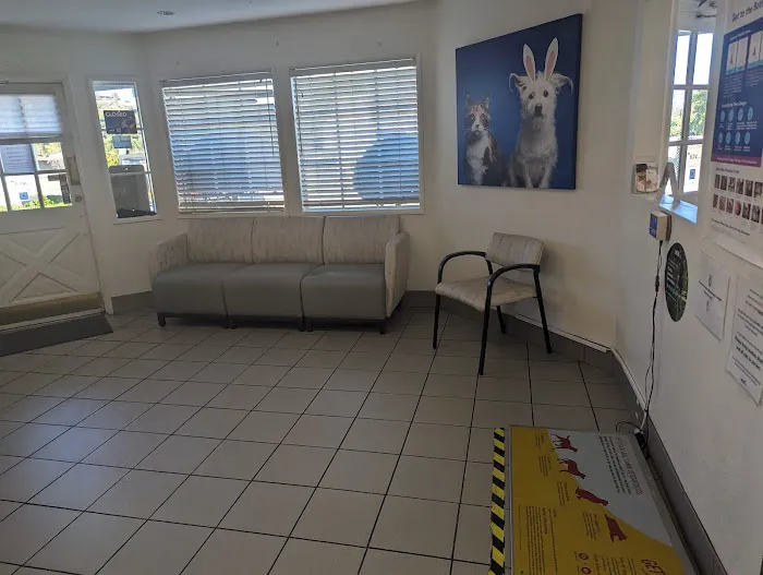 VCA Alosta Animal Hospital Picture 2