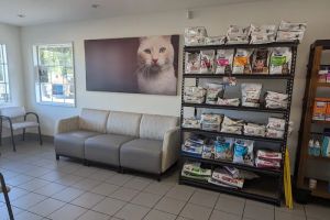 Auto Service Center