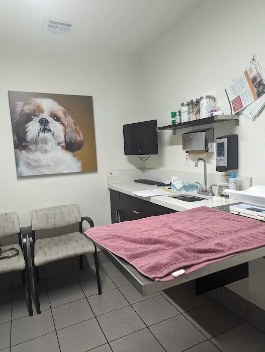 VCA Alosta Animal Hospital Picture 5
