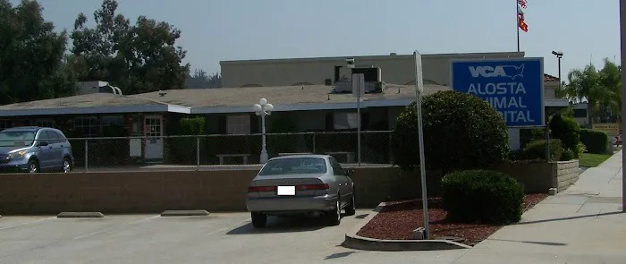VCA Alosta Animal Hospital Picture 6
