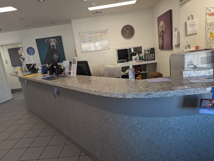 VCA Alosta Animal Hospital Picture 3