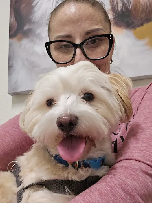 VCA Alosta Animal Hospital Picture 9