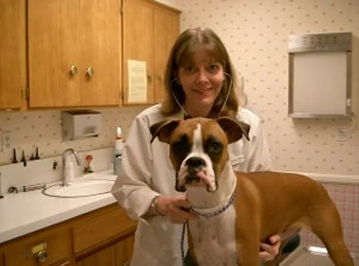 VCA Alosta Animal Hospital Picture 10