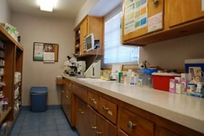 VCA Alosta Animal Hospital Picture 7