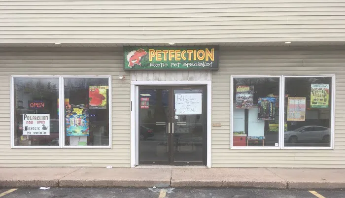 Petfection Exotic Pet Specialist Picture 3