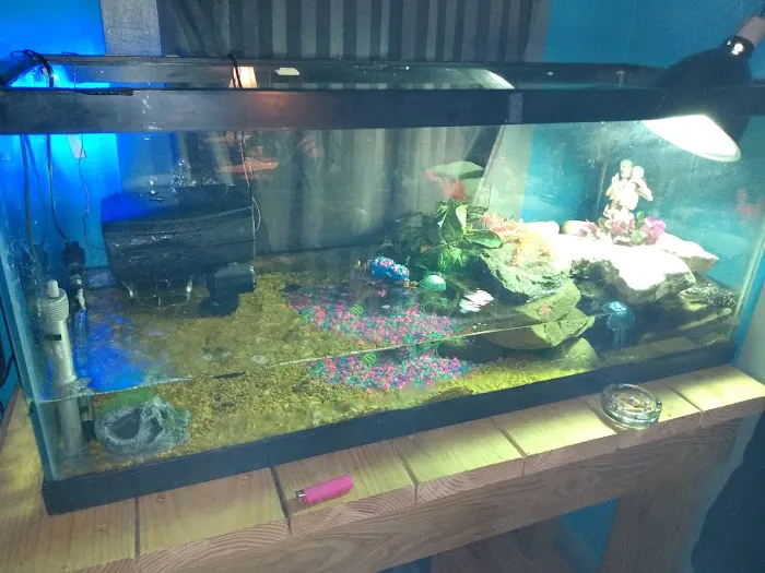 Petfection Exotic Pet Specialist Picture 2