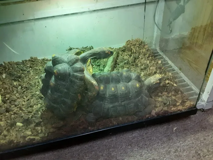Petfection Exotic Pet Specialist Picture 6